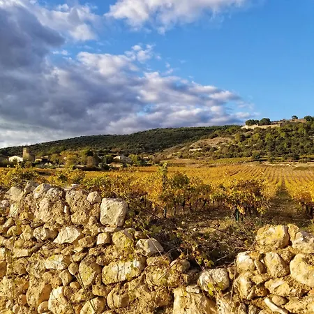 La Dolce - Marco Polo 3* Montpeyroux (Herault)